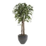 Planta ficus eco artificial