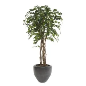 artificial eco ficus plant
