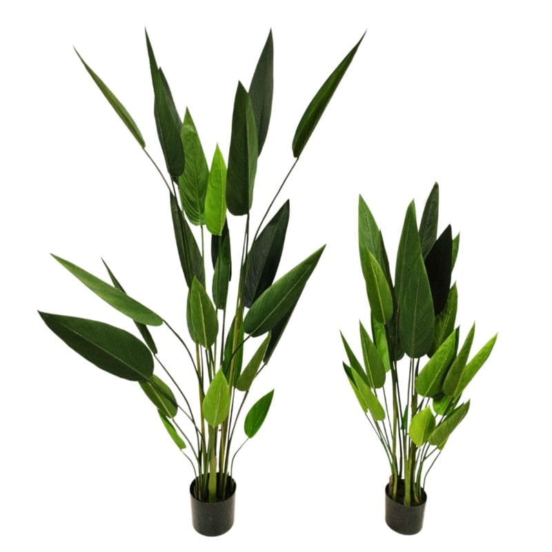 Heliconia artificial de 130 y 180 cm