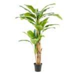 Bananeira artificial de múltiplos troncos com 215 cm