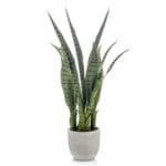 Sansevieria 65 cm Planta sansevieria artificial 65 cm