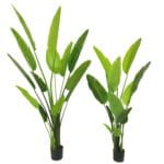 Strelitzia artificial 150 cm y 180 cm
