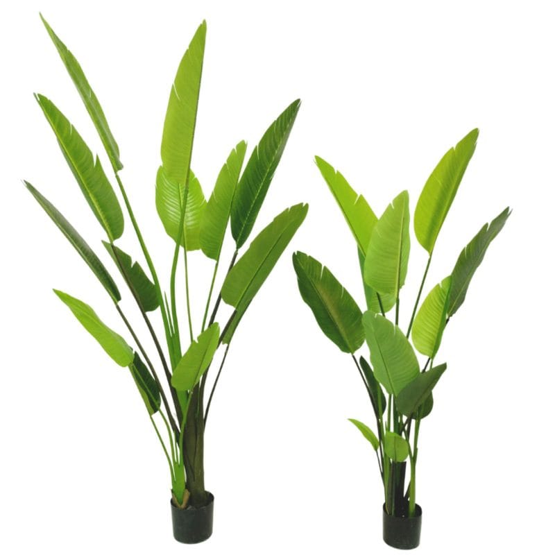 Strelitzia artificial 150 cm y 180 cm