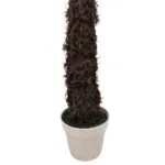 Tronc de Dicksonia Tronc de palmier Dicksonia