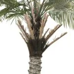 Tronco árbol palmera Tronco árbol palmera artificial 260 cm