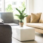 Decoració amb planta artificial zamioculca