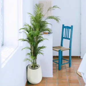 Decorazione con vaso bianco Decolux