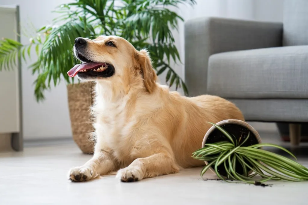 Plantas artificiales