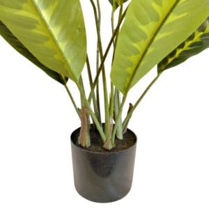 Dieffenbachia artificial maceta