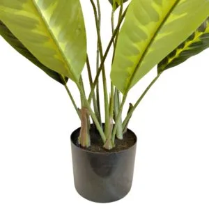 Vaso di Dieffenbachia artificiale