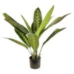 Planta Artificial Dieffenbachia