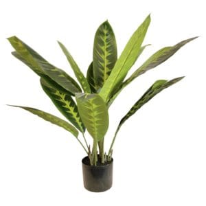 Planta Artificial Dieffenbachia