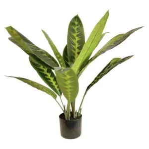 Planta Artificial Dieffenbachia