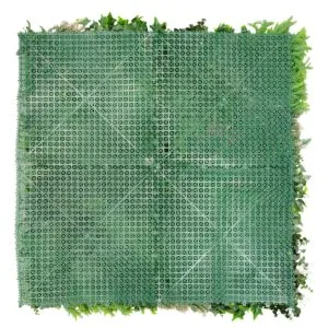 Backing Sweet Garden