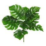 Rama de Monstera 35 cm