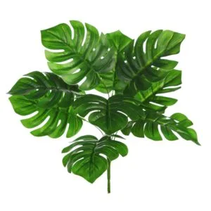 Rama de Monstera 35 cm