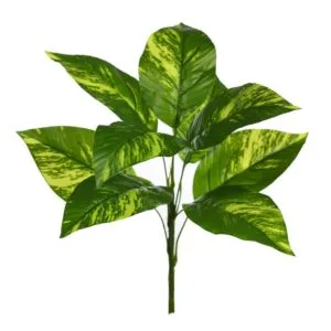 Branche de pothos artificielle 35 cm