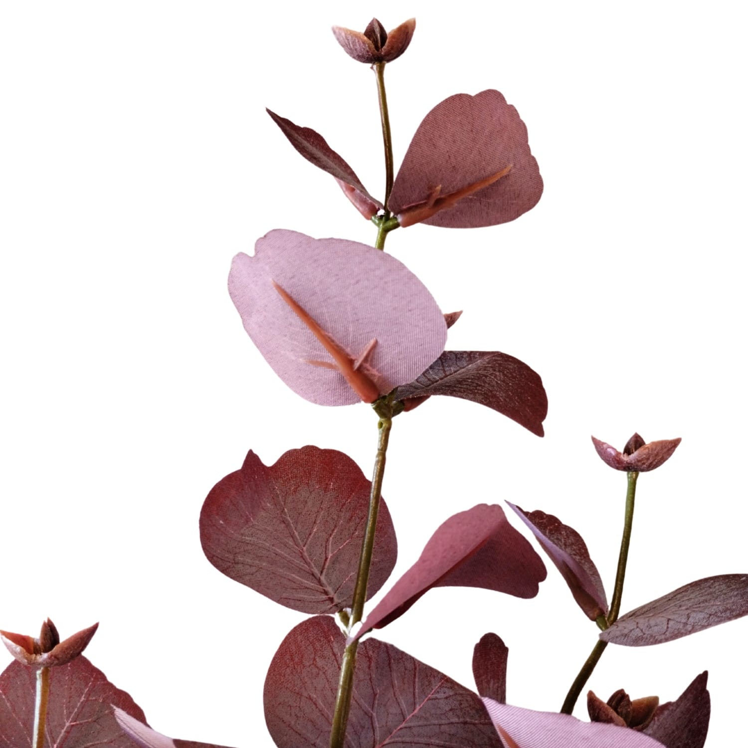 Fliederfarbener Eukalyptuszweig, 78 cm - JardinVertical.es