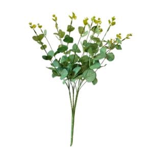 Grüner Eukalyptuszweig