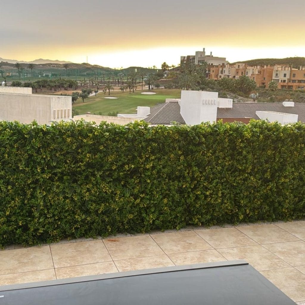 Imagen #2 de MIGUEL ANGEL J.