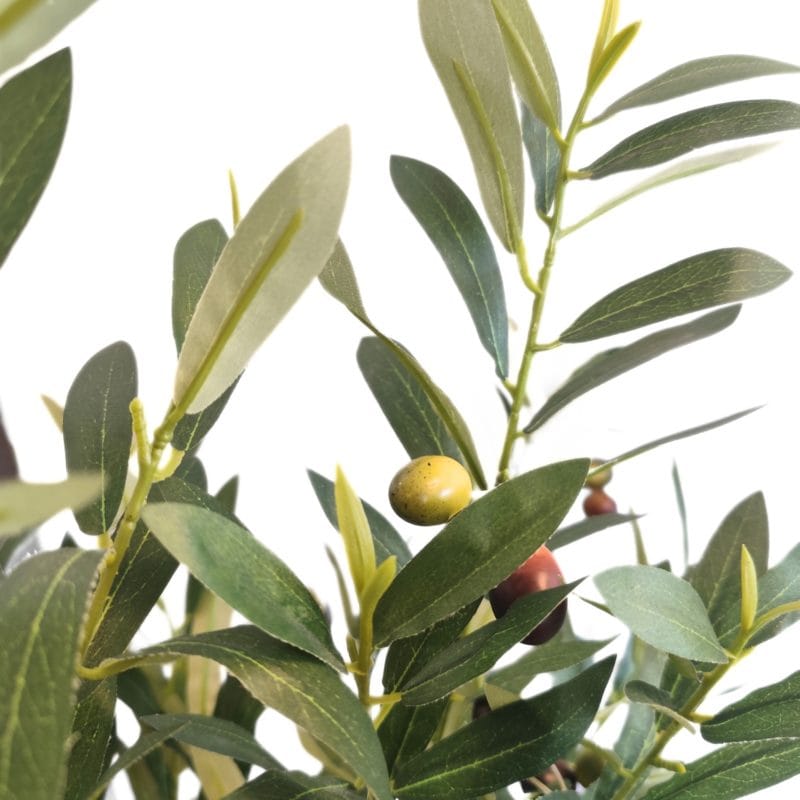 Olivo exterior 150 cm