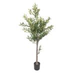 Olivo exterior 150 cm