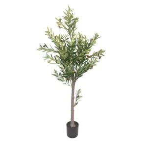 Olivo exterior 150 cm