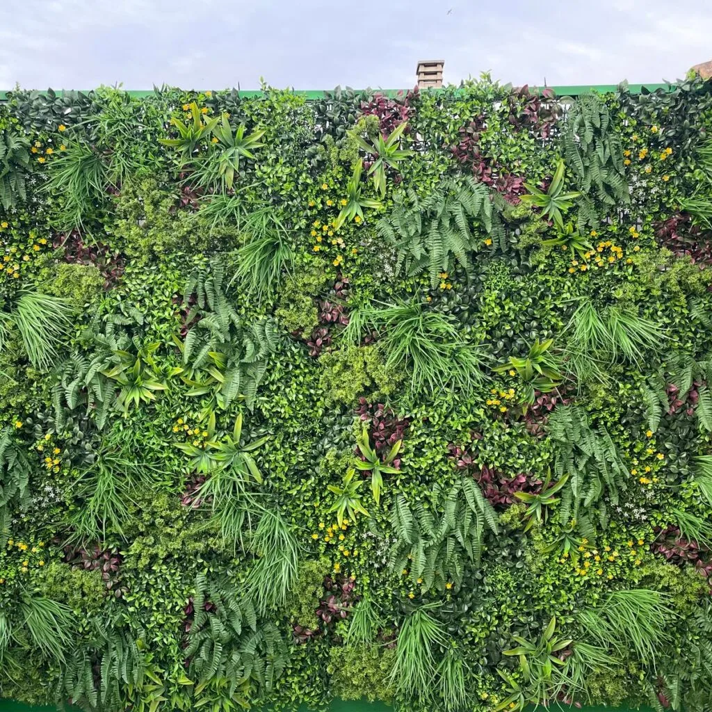 Image n° 1 d'Alba Perez Velasco