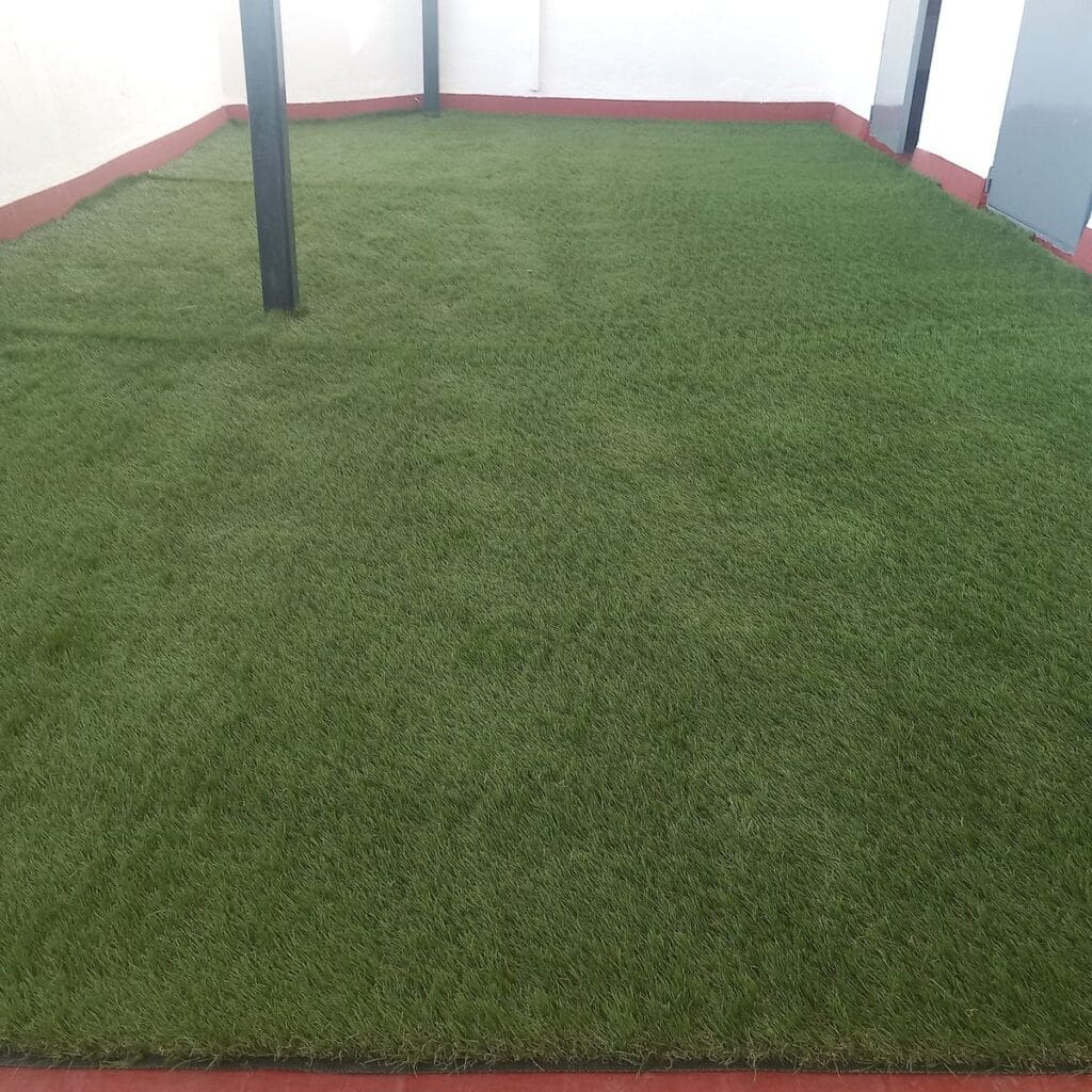 Imagen #1 de Beatriz