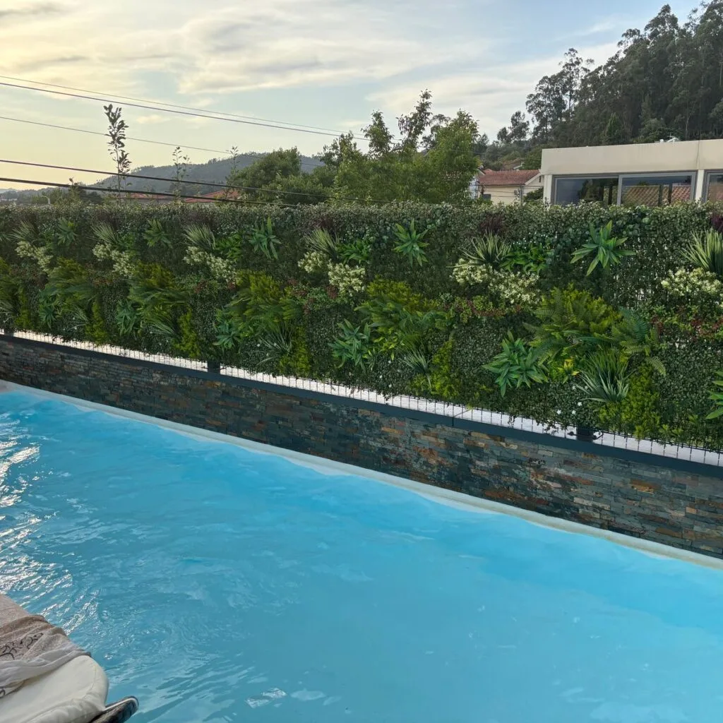 Image n°2 par Rui M.