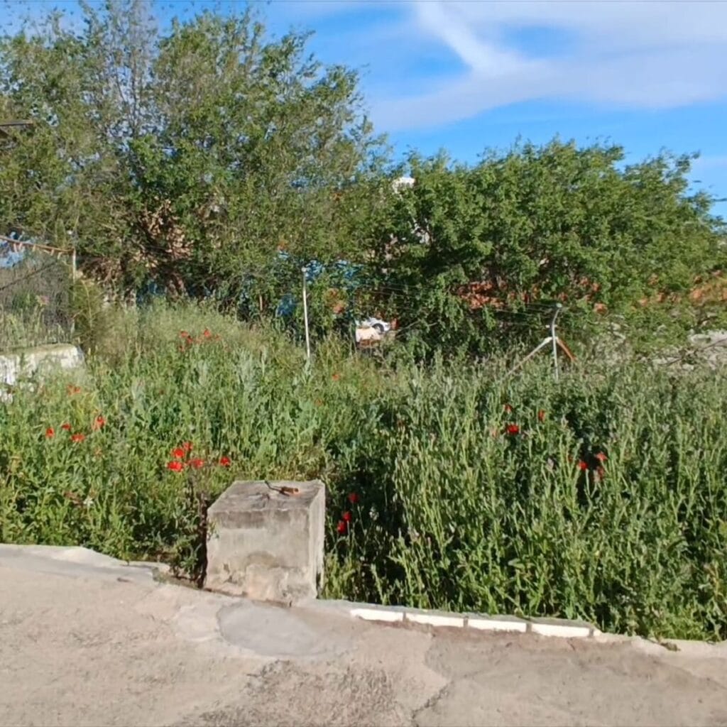 Imagen #1 de Jose mauricio Rolon Jara