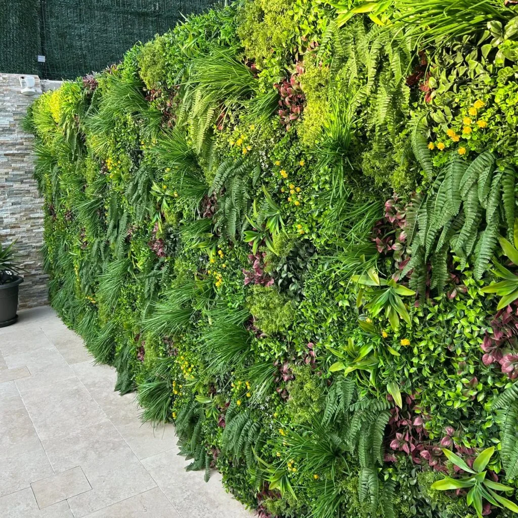 Image n°2 par Eduardo M.