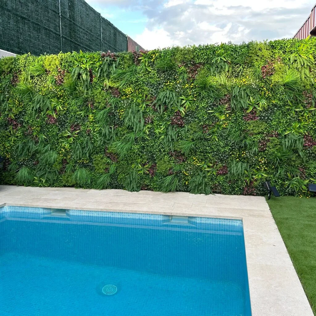 Image n° 1 par Eduardo M.