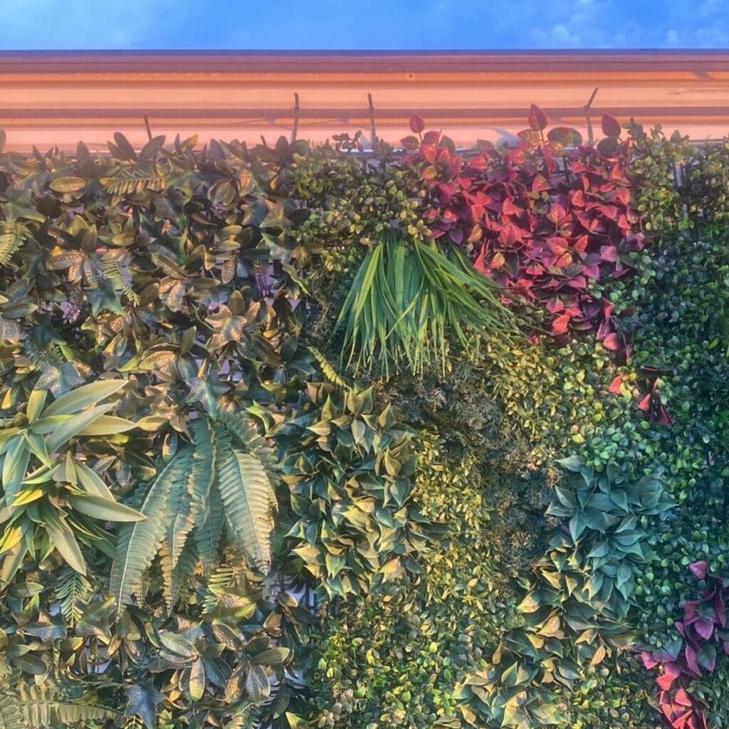 Imagen #1 de Alvaro Sanchez Albarran