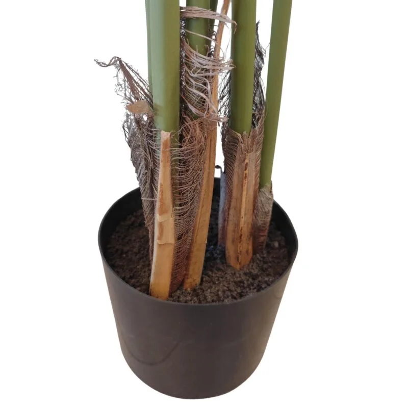 Maceta de monstera para exterior