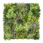 Jardín Vertical Artificial Volga 100 x 100 cm