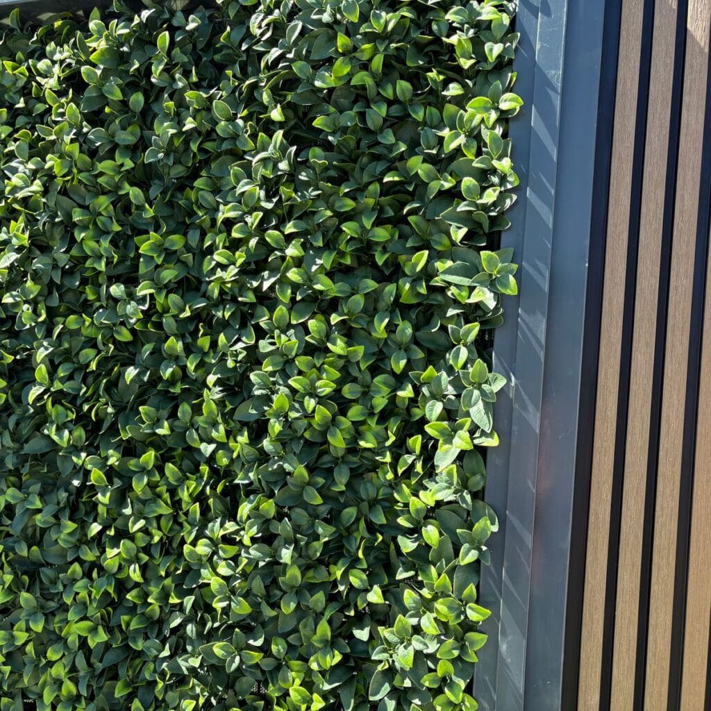 Imagen #1 de Rubén D.