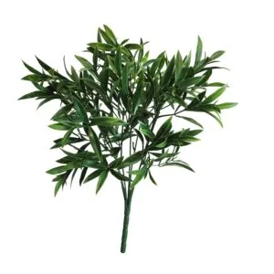 Arbusto Ruscus UV