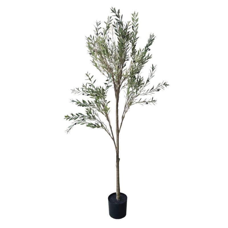 Olivo artificial de exterior