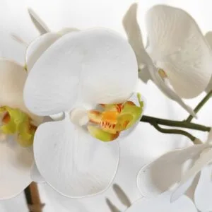 Orquídea artificial blanca decorativa