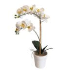 Orchidea bianca 65 cm Orchidea artificiale bianca