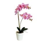 Orchidea rosa 65 cm