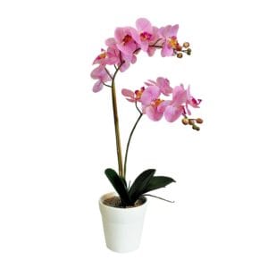 Orquídia Rosa 65 cm