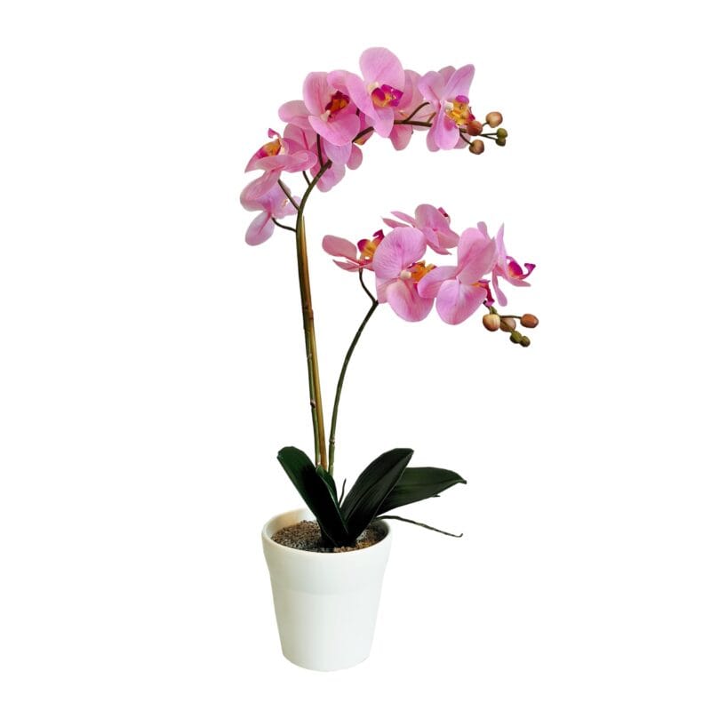 Orchidea rosa 65 cm