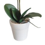 Vaso per orchidee artificiali