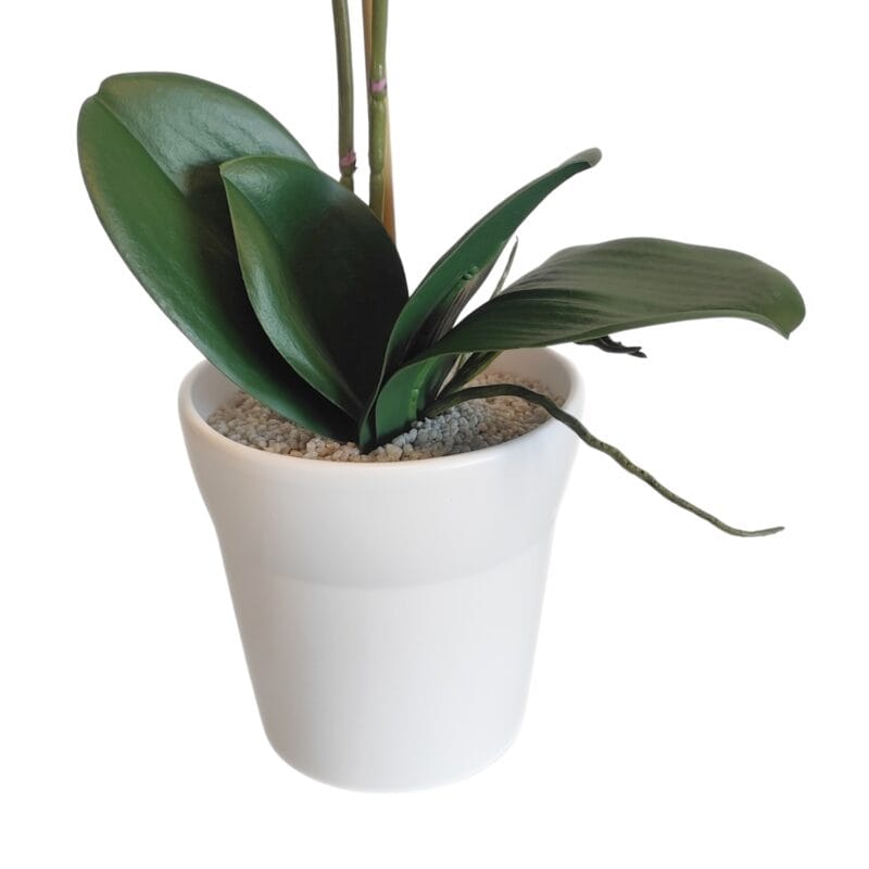 Vaso per orchidee artificiali