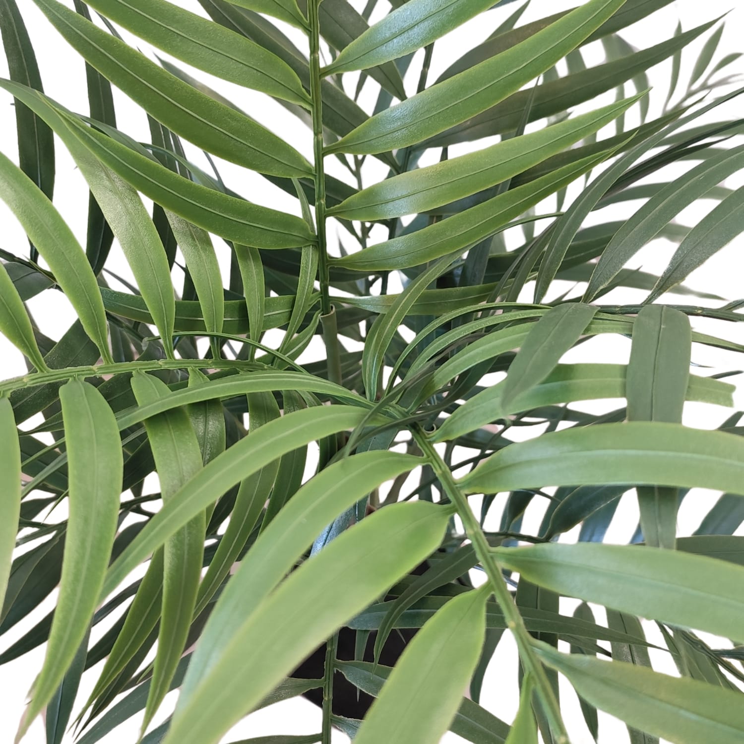 Knstliche Areca-Palme fr den Auenbereich - JardinVertical.es