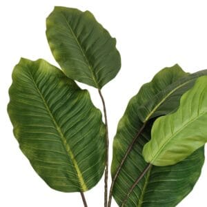 Ramo artificiale Dieffenbachia 