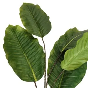 Rama de Dieffenbachia artificial