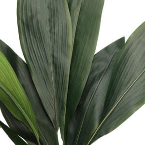 Ramo artificiale di aspidistra
